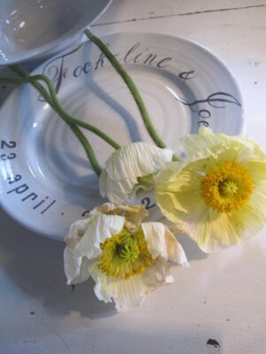 SIMPLE PAINTING PLATE